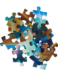 1000 PC Puzzles