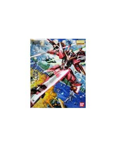 BANDAI GUNDAM 5063041 1/100MG INFINTE GO5063041