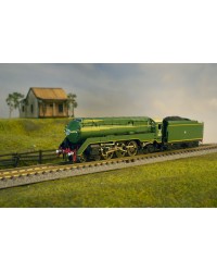 GOPHER MODELS N GAUGE STEAM LOCOMOTIVE - GOP-C3801NSWGR C38 CLASS LOCOMOTIVE STREAMLINED GREEN - GOPC3801