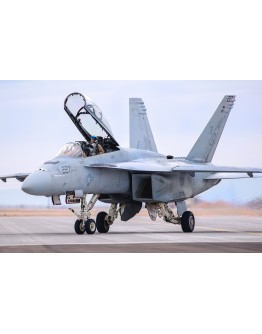 HOBBY BOSS 1/48 SCALE MODEL AIRCRAFT KIT - 85813 - F/A-18F Super Hornet