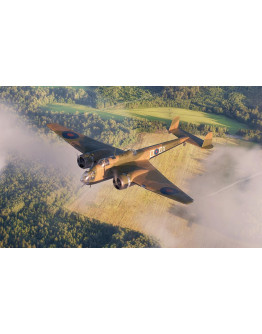 ICM 1/48 SCALE PLASTIC AIRCRAFT - 48352 - HAMPTON Mk1 ICM48352