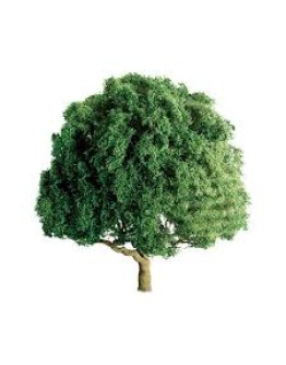 JTT SCENERY PRODUCTS - TREES - TR-1064 - OAK TREES 3" (2) - JTTTR1064