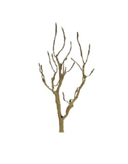 JTT SCENERY PRODUCTS - TREES - TR-1103 - Mountain Gum 51MM (4)