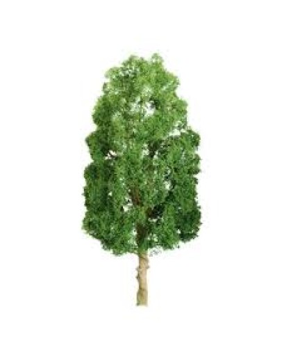 JTT SCENERY PRODUCTS - TREES - TR-1118 - SYCAMORE 3" (3)