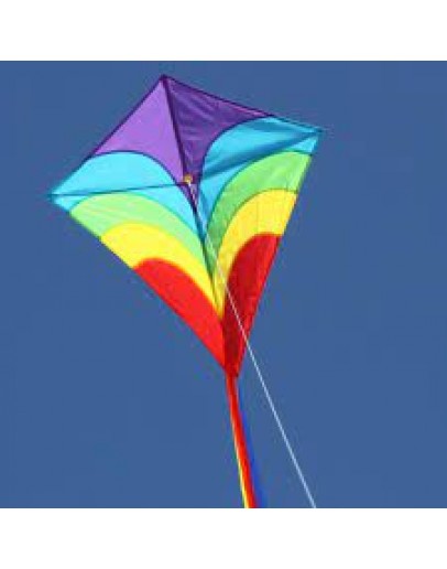 OCEAN BREEZE STUNT KITE 'DIAMOND WAVES' WSK887