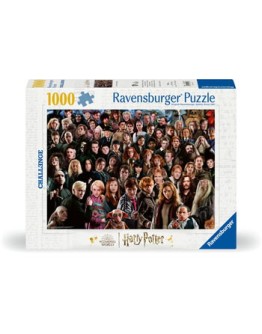 RAVENSBURGER 1000 PC JIGSAW PUZZLE - 004578 HARRY POTTER CHALLENGE - RB004578