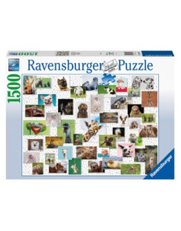 RAVENSBURGER 1500PC JIGSAW PUZZLE - 167111 - Funny Animals
