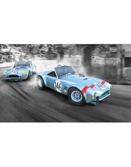 SCALEXTRIC 1/32 SLOT CAR - C4305A LEGENDS TWIN PACK - SHELBY COBRA 289 - 1964 TARGA FLORI0 - SX4305A