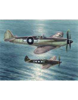 SPECIAL HOBBY 1/48 SCALE PLASTIC MODEL AIRCRAFT KIT - SH48116 - WW2 BRITISH FIGHTER SUPERMARINE SEAFIRE F MK XV - SH48116