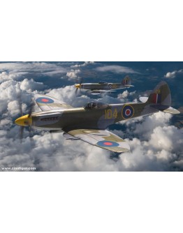 SPECIAL HOBBY 1/72 SCALE PLASTIC MODEL AIRCRAFT KIT - SH72482 - WW2 BRITISH FIGHTER SUPERMARINE SEAFIRE F/FR MK 46 - SH72482