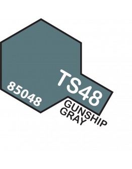 TAMIYA SPRAY CANS - TS-48 Gunship Grey