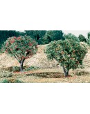 WOODLAND SCENICS - LANDSCAPE - FRUIT AND FLOWERS - T47 Apples and Oranges