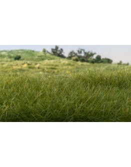 WOODLAND SCENICS - LANDSCAPE - STATIC GRASS - FS618 4 mm Medium Green